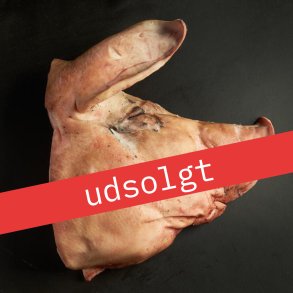 Grisehoveder � l�r at bruge alt fra dyret (kl. 18:00)