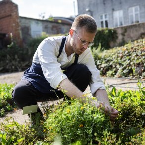 Copenhagen Teaching Lab: Green Gastronomy