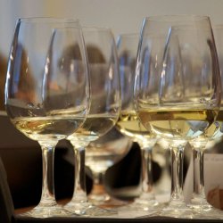 Sommelier, niveau 1 - forr 2026