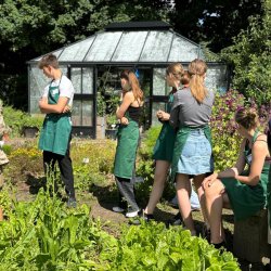 Sommermadskole for unge